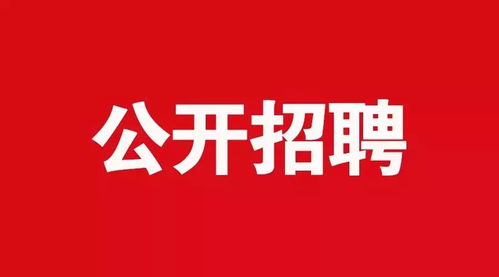 孟津县招聘劳务派遣高中教师公告